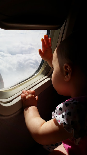 Baby looking out plane window.
