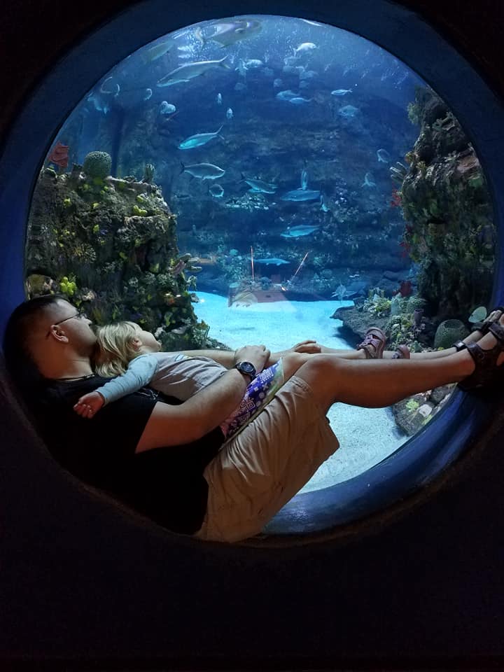 Daddy and daughter at aquarium