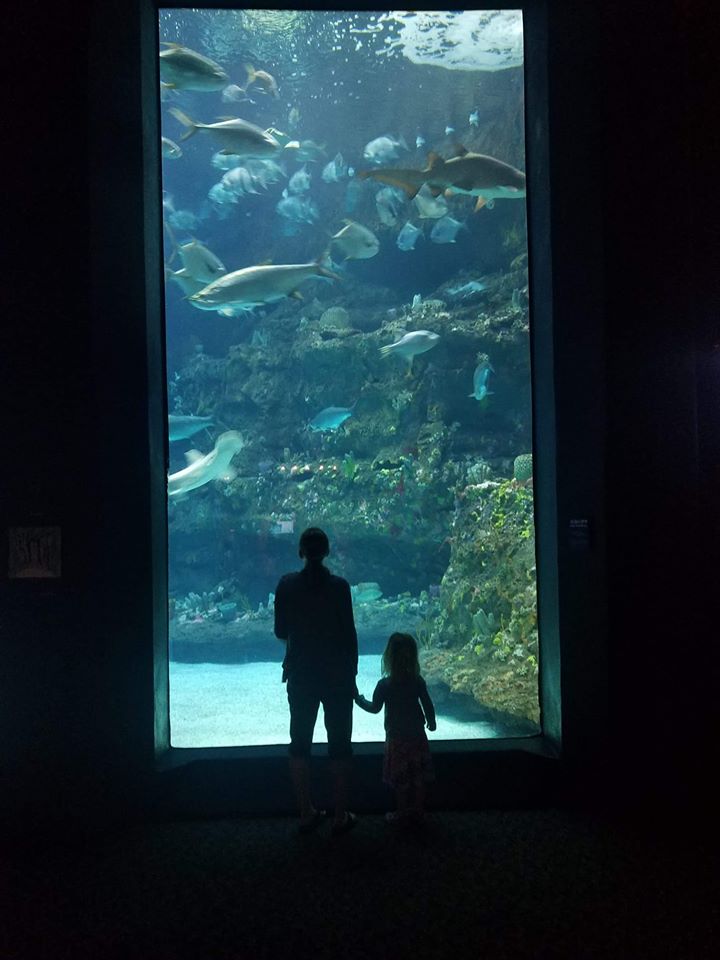 Mom and daughter looking at aquarium
